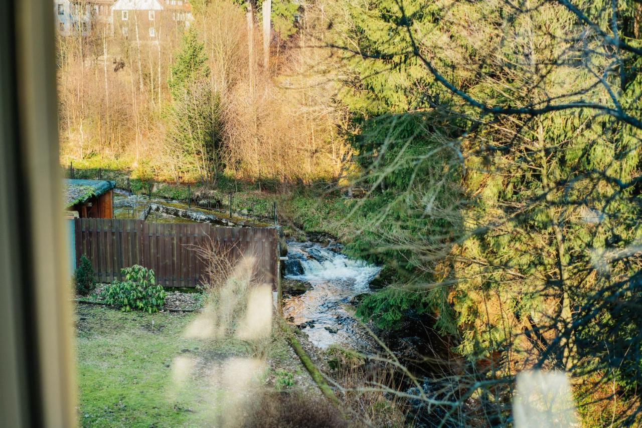 Ferienwohnung Kiefer Braunlage Exteriér fotografie